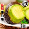 Aguacates grandes y frescos, 15 piezas, listos para comer, de temporada, caja completa con envío gratis, aptos para mujeres embarazadas, aguacates completamente maduros