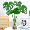 Planta de Ave del Paraíso Hidropónica en Maceta para Escritorio, Estilo Nórdico, Planta de Interior Perenne, Hojas Grandes, Cultivada en Agua, Tolera la Sombra, para Sala de Estar