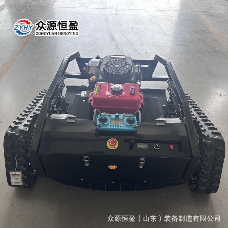 Q黑狮1000头图 (23).jpg