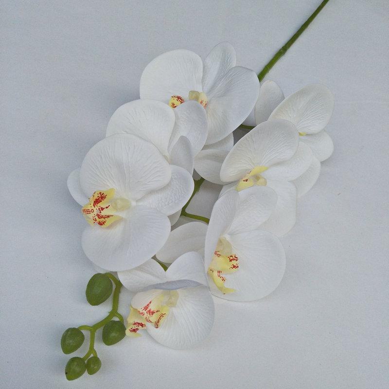 08  7头