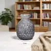 Vaso de Vidro Sódio-Cálcio Personalizado Transfronteiriço, Pote de Armazenamento, Estilo de Padrão em Malha de Luxo Leve, Decoração de Sala de Estar, Armazenamento de Vaso de Flores Estilo Europeu