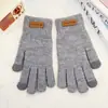 Luvas de Inverno Femininas para Proteção contra o Frio, Luvas de Ciclismo de Cinco Dedos, Luvas de Algodão com Forro de Fleece, Luvas de Tricô Grossas para Exterior com Tela de Toque