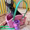Bolsa de Pet Eva Leve e Moderna, Popular entre Influenciadores Europeus e Americanos, Bolsa Portátil para Cachorro, Acessórios DIY, Bolsa Fofa com Furos, Bolsa para Gato