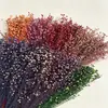 Fabricante Yongsheng Grãos de Acácia Absorventes de Cor, Grãos da Fortuna, Sementes de Gergelim, Materiais para DIY, Tampa de Vidro, Materiais para Atacado