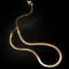 Tobillera de Cadena Hueso de Serpiente Transfronteriza Europea y Americana Simple, Exquisita, Versátil, Nueva de Acero de Titanio para Mujer, Moderna y Elegante, Color Dorado para Verano