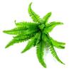 Helechos al por mayor, Pasto persa de colores otoñales, Helechos artificiales, Plantas verdes, Plantas de jardín, Hojas persas artificiales, Decoración exterior y paisajismo