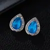 Aretes de Diamante Incrustados de Cristal para Mujer, Nuevo Estilo Popular 2026, Pendientes de Alta Gama con Agujas de Plata de Ley 925, Pendientes de Diseño de Nicho