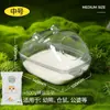 Banheiro e Vaso Sanitário Dupla Função para Hamster Transparente Desodorante Banheira Anti-Salpicos Grande à Prova de Poeira Tela Dourada Suprimentos de Banho Pacote de Areia para Banho