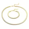 Stock de fábrica Acero de Titanio Estilo Indiferente Plano Suave Cadena de Hueso de Serpiente Conjunto Collar de Clavícula Oro 18k Cadena de Hueso de Serpiente Joyería para Mujer