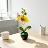 2 plantas en maceta de mariposas de flores artificiales para sala de estar del hogar decoración suave verdor bonsái accesorios de fotografía película adornos de flores artificiales
