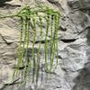 Decoración de Flores para Boda Estilo Coreano Mori Techo Planta Verde Artificial Hojas Material Plantas Verdes Frescas Aqua Artificiales