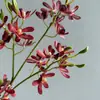 Flor Artificial Phalaenopsis Tacto Realista Orquídea Pequeña de Cuatro Lóbulos Decoración del Hogar Arte de Piso Orquídea Araña Fotografía