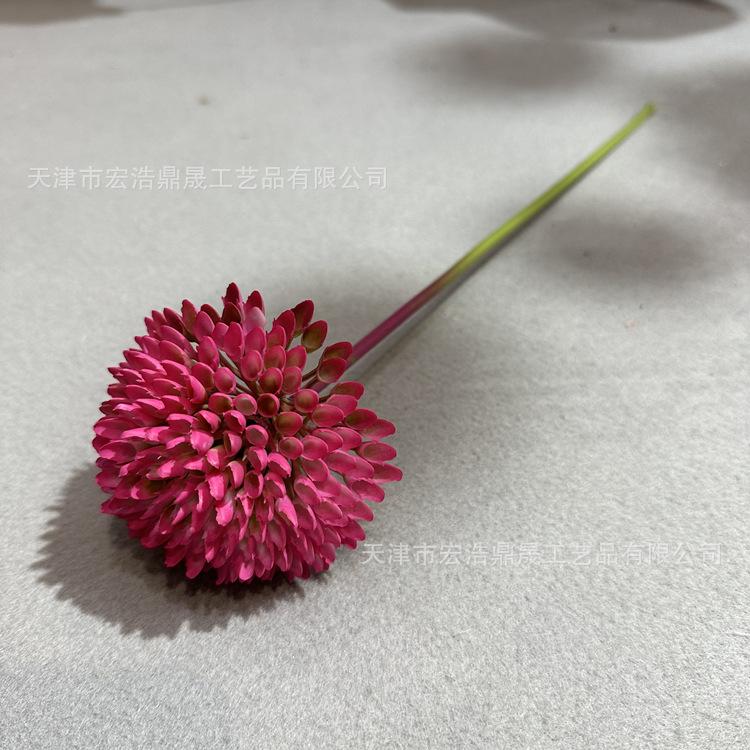 微信图片_202302241649146_副本