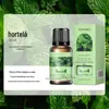 Versão Chinesa Yinsho de Óleo Essencial de Aromaterapia Solúvel em Óleo 10ml Pedra Difusora Vela de Aromaterapia Purificador de Ar Óleo Essencial de Aromaterapia