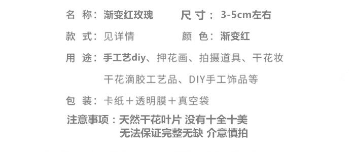 渐变红玫瑰.png