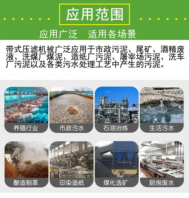 带式详情7