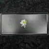 2025 Zapatos de Cristal Populares en Internet Estilo Coreano Hebilla de Zapato Cadena de Cuentas Florales Zapatos con Flores Hebilla de Zapato de Industria Pesada Hermosa Zapatos de Gelatina