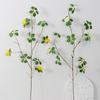 Nova planta artificial chinesa folha de lótus Guanyin rattan com flores arranjo de flores Zen paisagem madeira seca videira seca longa decoração de sala de estar