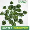 36 piezas de hojas y enredaderas artificiales para decoración de techos de tubería, directo del fabricante
