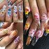 Nueva joyería de uñas transfronteriza, caja de 12 rejillas con flores secas, margaritas, estrellas, joyería de uñas natural DIY al por mayor
