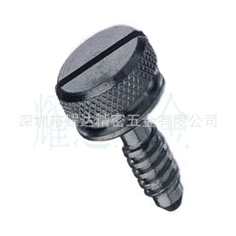 快速引导拴式螺钉17-13-304-11