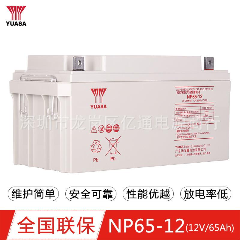 12V65AH02.jpg
