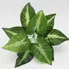 Plantas Simuladas, Flores Falsas de Plástico, Accesorios para Paredes de Plantas, Hojas con Tacto sin Pegamento, Hojas de Tortuga, Rábano Verde, Venta Directa en Stock