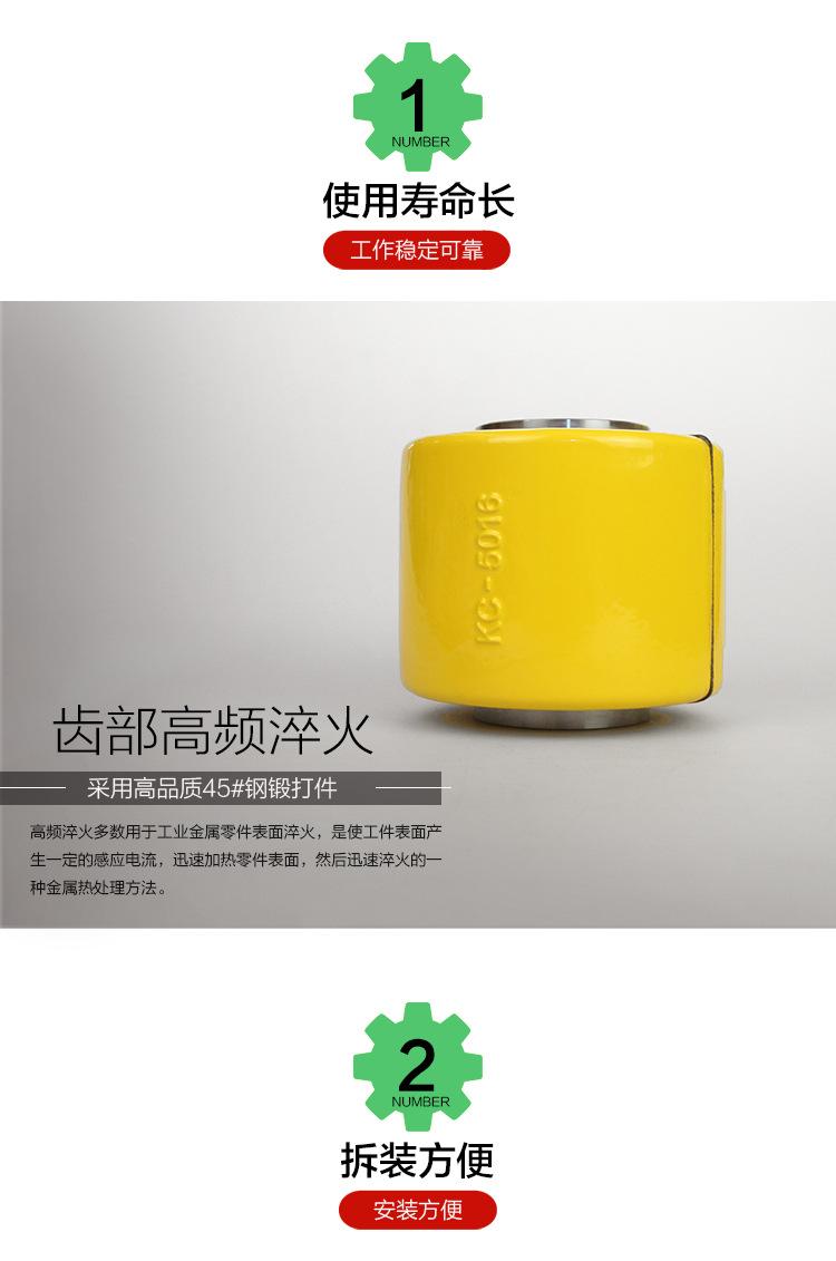 KC链条联轴器-03.jpg