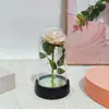 Flor Eterna capa acrílica rosa de flanela 520 Dia das Mães Tanabata Dia dos Namorados presente decoração criativa transfronteiriço
