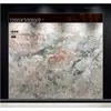 1200x3000 Formato Grande Roca Porcelánica Panel de Pared Fondo para Vestíbulo Sala de Estar de Villa Veta Continua Piedra de Lujo Roca Porcelánica Placa Grande