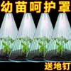 Cubierta protectora para plantas, verde, protege las plántulas de los pájaros, reutilizable, cubierta en forma de campana