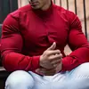 Camisas Casuais Masculinas da Amazon para Compras Internacionais, Sem Ferro, Esportivas, Fitness, de Negócios, Primavera e Outono, Camisas Masculinas de Manga Longa Antirrugas