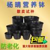 Plástico negro para venta al por menor tazón de nutrición bolsa de nutrición taza de nutrición taza para plántulas maceta para plántulas bolsa para plántulas antienvejecimiento envío gratis