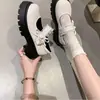 Novedad Moda Primavera y Verano 2025 Zapatos de Cuero con Suela Gruesa para Mujer, Estilo Británico Retro, Dulces y Adecuados para Faldas, Zapatos Mary Jane