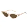 Gafas de sol cat-eye transfronterizas para mujer, gafas de sol de moda INS europeas y americanas, venta al por mayor, protección UV, gafas de sol versátiles