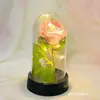 Luzes de Fio com Capa Transparente para Presente Transfronteiriço Luz Noturna de Flor Rosa Rosa Artificial Estilo Celebridade da Internet Presente de Dia dos Namorados Luxo Leve