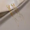 Brincos de borla de amor de celebridade da internet, temperamento moderno, brincos de corrente longa com borla, brincos femininos, atacado