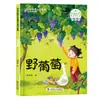 Uma Coleção de Obras de Famosos Escritores Chineses Premiados, Livros de Contos de Fadas Genuínos para Alunos do Ensino Fundamental Lerem Extracurricularmente