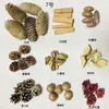 Fruta Fixa Natural Planta Fruta Casca Espécime Material Decoração Flores Secas Fatias Jardim de Infância DIY Pacote de Material de Natal