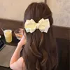 ¡Elegancia Sutil! Exquisito Pasador de Resorte con Pedrería, Pasador de Estilo Suave con un Diseño de Nicho, Accesorio Único para el Cabello