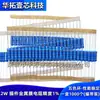 Resistor de filme metálico de precisão de 2 watts 10R 11R 12R 13R ohm 1% de inserção reta com trança de anel de cinco cores