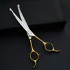 Tijeras para Mascotas, Herramientas Profesionales de Peluquería, Tijeras Curvas de Punta Redonda para Recortar Pelo, Hojas de Acero Especial para Gatos, Perros Teddy y Perros