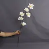 Flores de Magnolia Artificiales Transfronterizas de Amazon, Magnolia de Tacto Realista para Decoración de Bodas y Exhibición en el Hogar, Flores de Magnolia de Espuma Eva
