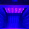 Forno de cura UVLED com nitrogênio Futanxi 365/395/405nm forno de cura UV a vácuo de banda híbrida