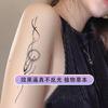 Tatuaje de Sol Doble Anti-agua Anti-sudor Anti-reflejante Tatuaje Celebridad de Internet Genial Mismo Duradero Hombres y Mujeres Alto Nivel de Sentido Real