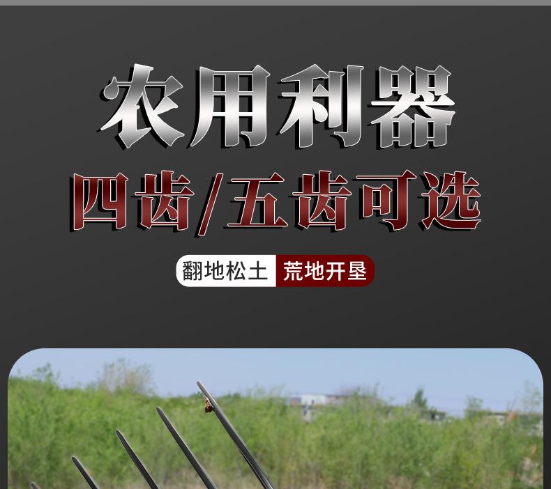 详情_09.jpg