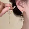 Pinzas para Orejas Estilo Coreano Sin Perforación, Pendientes de Diseño Genial para Mujer, Pinzas para Cartílago de Oreja de Mariposa con Borla Larga de Perlas, Gama Alta