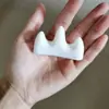 Cuatro Tesoros del Estudio: Reposaplumas para Caligrafía, Portalápices, Plato para Tinta de Plástico Multiusos Anticaídas, Plato para Tinta Flor de Ciruelo, Plástico