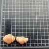 Mini Croissant a la Parrilla de Carbón Croissant de Crema DIY Accesorios de Resina Pasador Hecho a Mano Diadema Material para Joyería