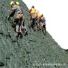 Fabricante de Shandong protección de taludes Reforestación Protección de riberas poliéster ecológico palo mina compleja verde polipropileno ecológico bolsa larga